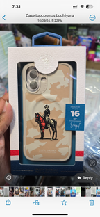 Protective Apple iPhone Back Cover - Santa Barbara Virgil Series for iPhone 16 - Style 2