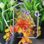 J-Case Anti Yellow Polycarbonate Plastic Transparent Case-Samsung Z Flip 8