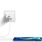 Protective Apple iPhone Back Cover - iPhone 20W Power Adapter - Style 10