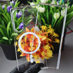 J-Case Anti-Yellow Transparent Magsafe Case-Samsung Galaxy Z Fold 8 Series
